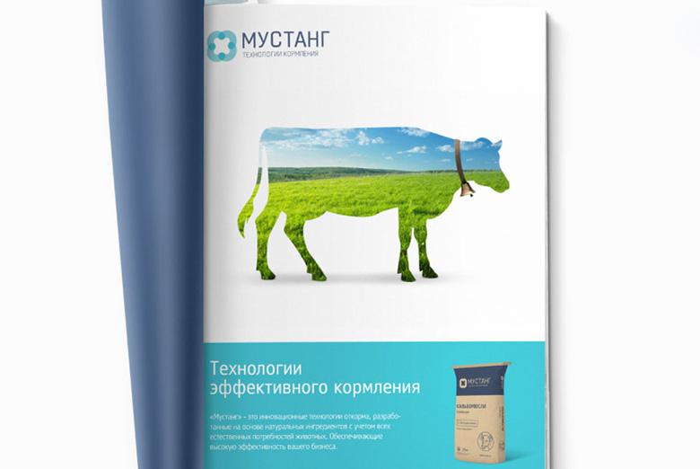 Логотип и фирменный стиль бренда «Мустанг»