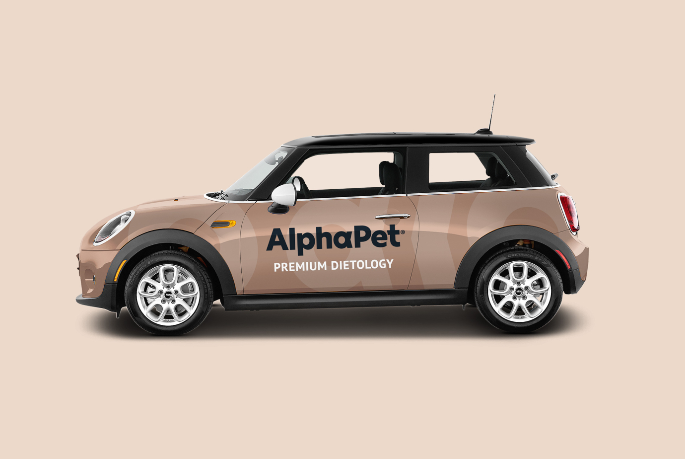 Разработка корпоративного стиля бренда кормов AlphaPet