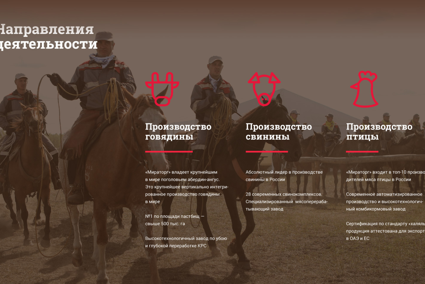 Создание торговой марки бренда «Мираторг»