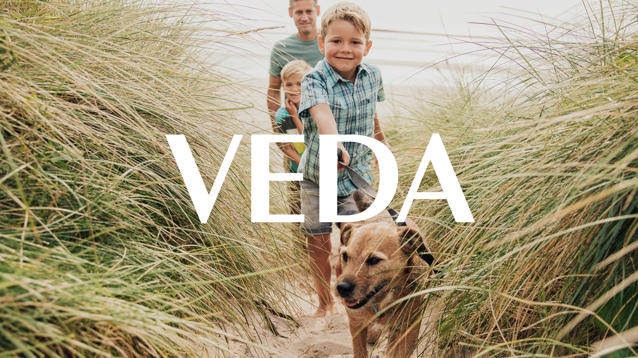 Фирма веда. Veda бренд.