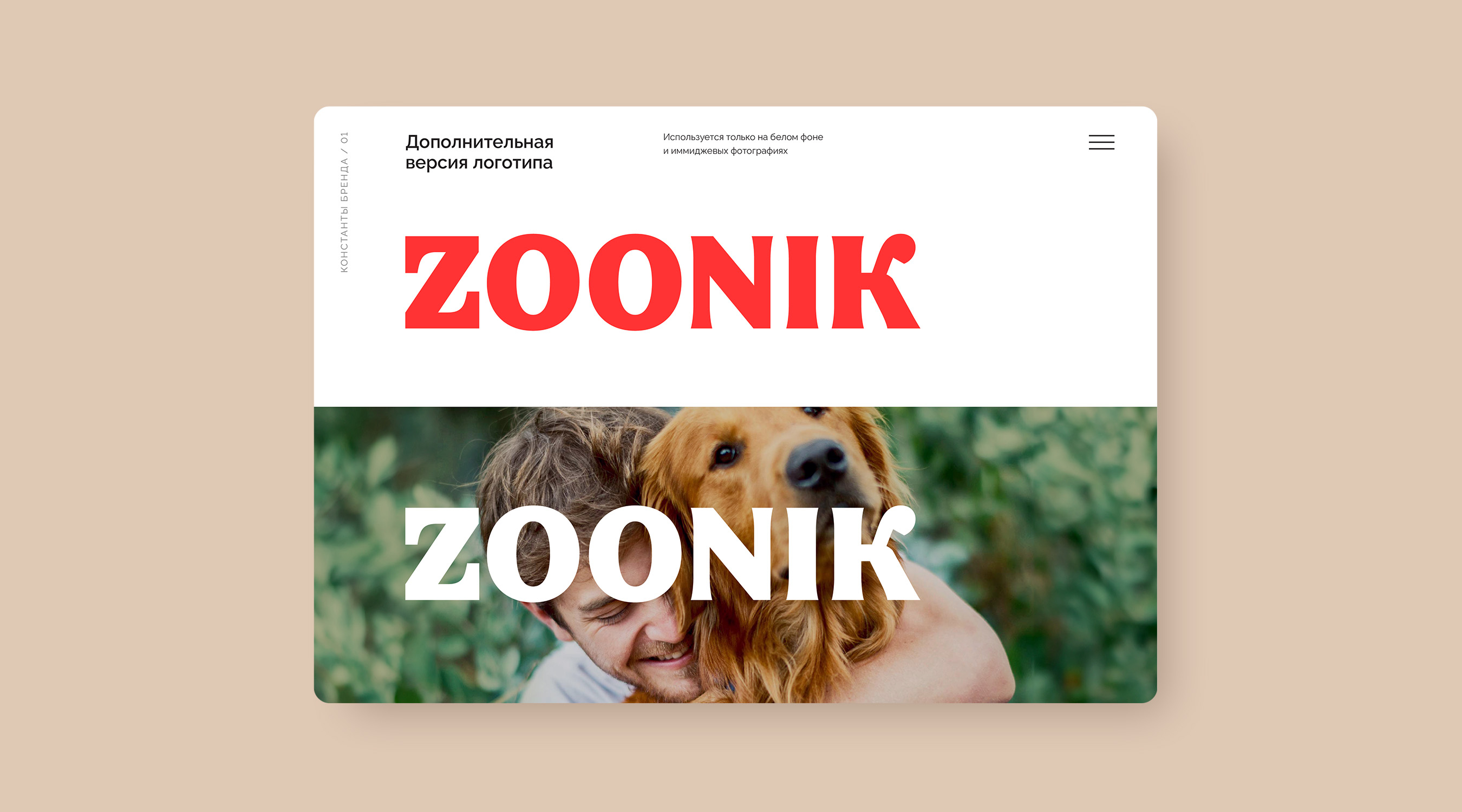 Создание логотипа ZOONIK
