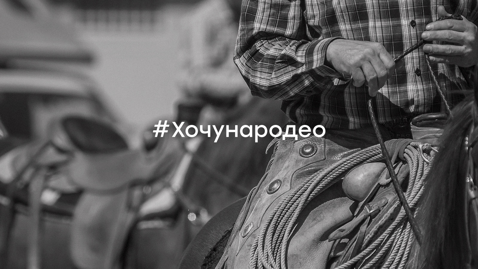 Коммуникационная стратегия Родео Мираторг