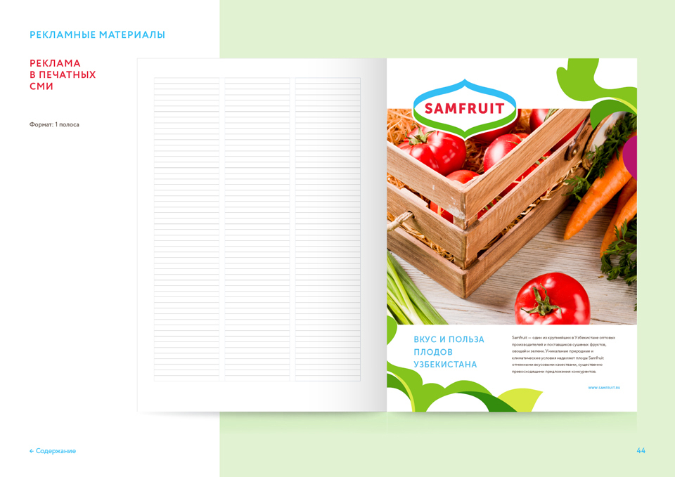 Дизайн рекламы SAMFRUIT