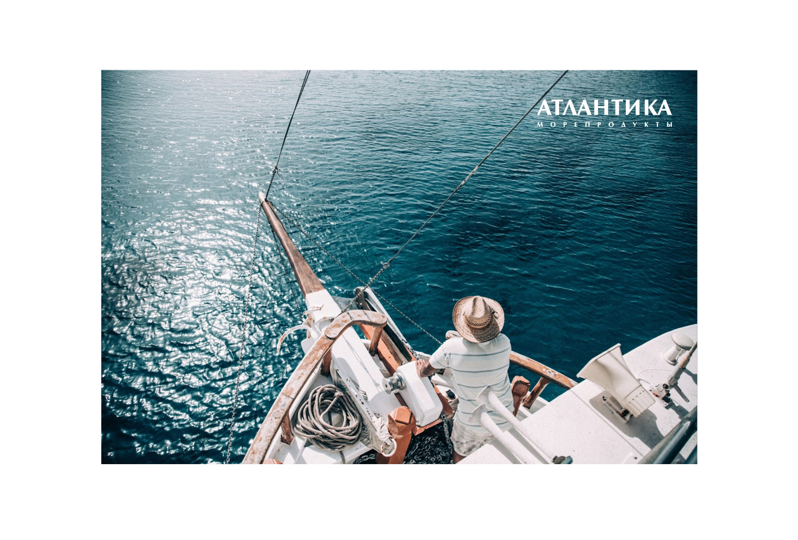 Дизайн логотипа морепродуктов Атлантика