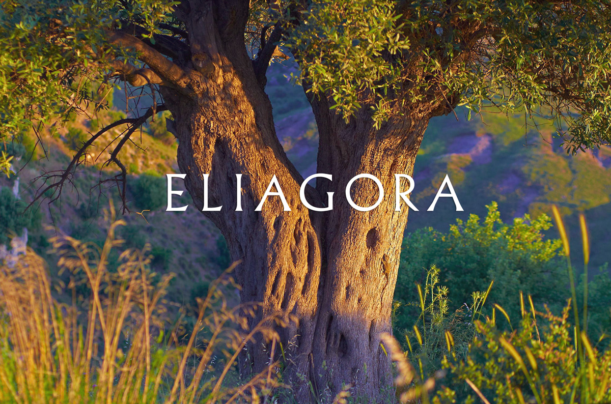 Комплексное создание бренда греческих оливковых масел ELIAGORA