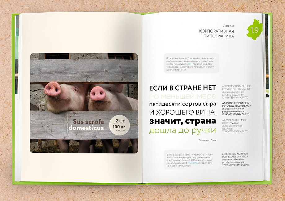 Типографика бренда Зелёный Стандарт, закрепленная в брендбуке