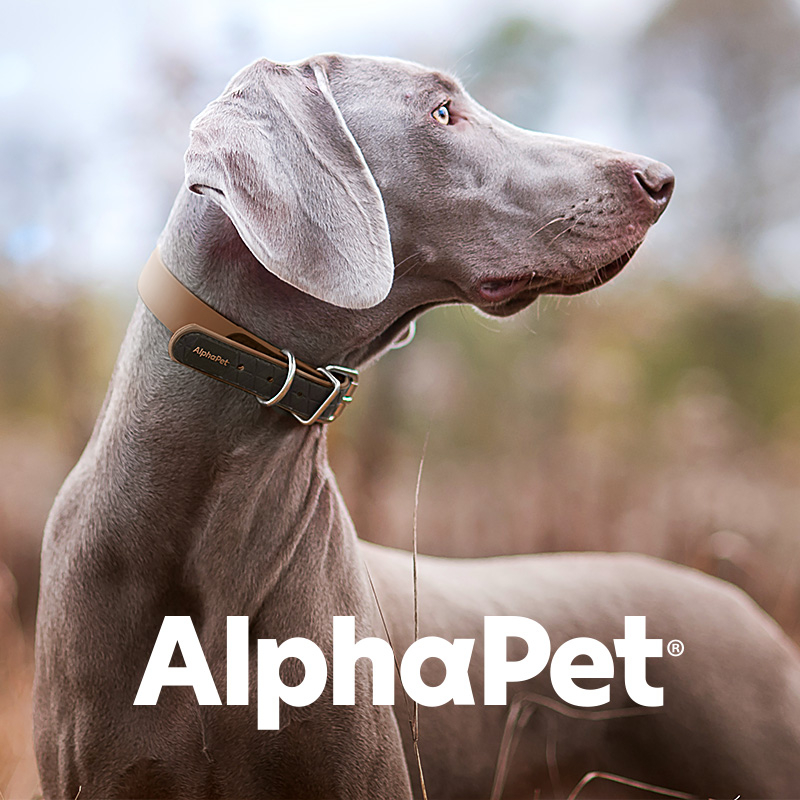 AlphaPet