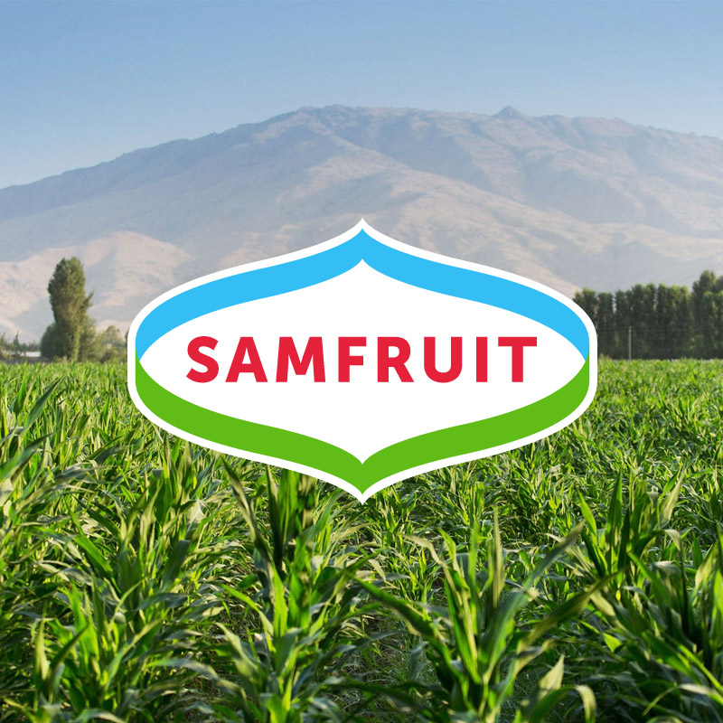 Samfruit