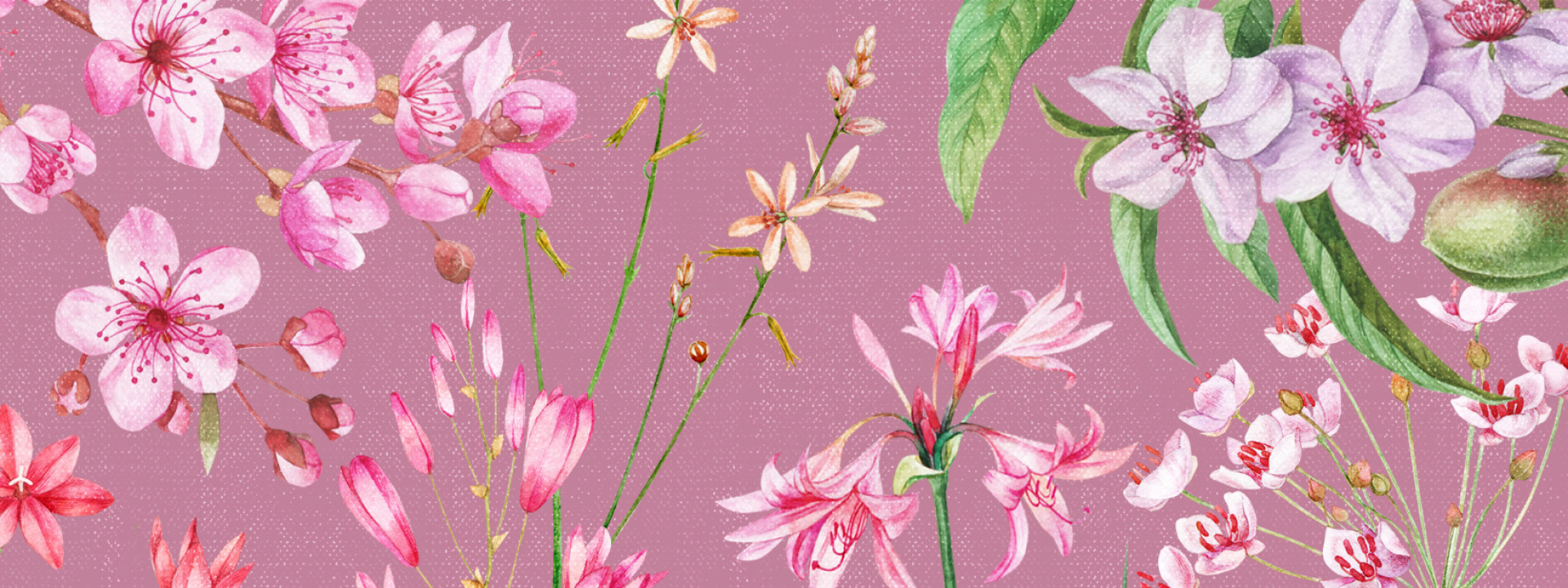 Разработка бренда косметики Floristica