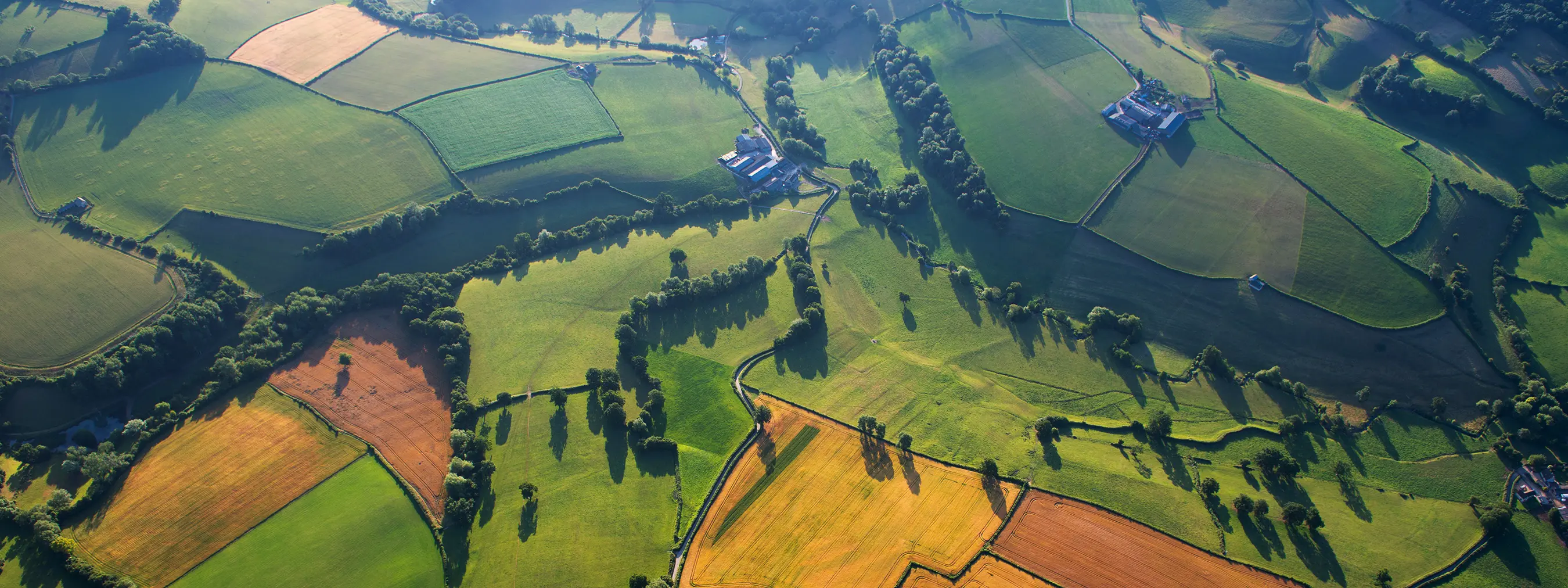 Ребрендинг компании Окраина