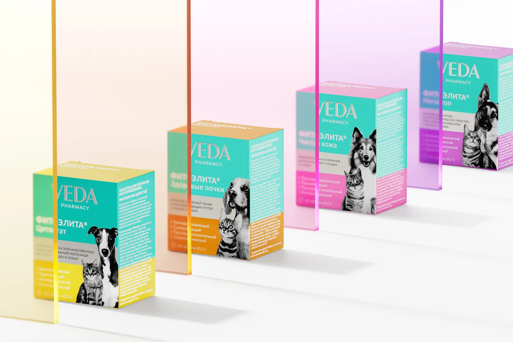 Разработка ветеринарного бренда VEDA