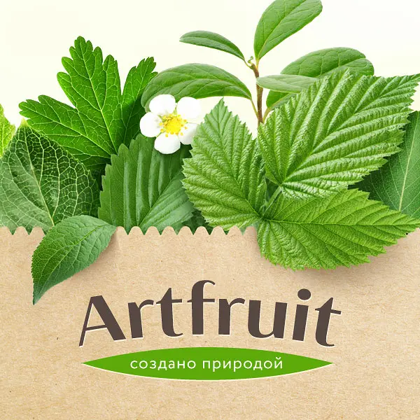Дизайн логотипа фруктов Artfruit