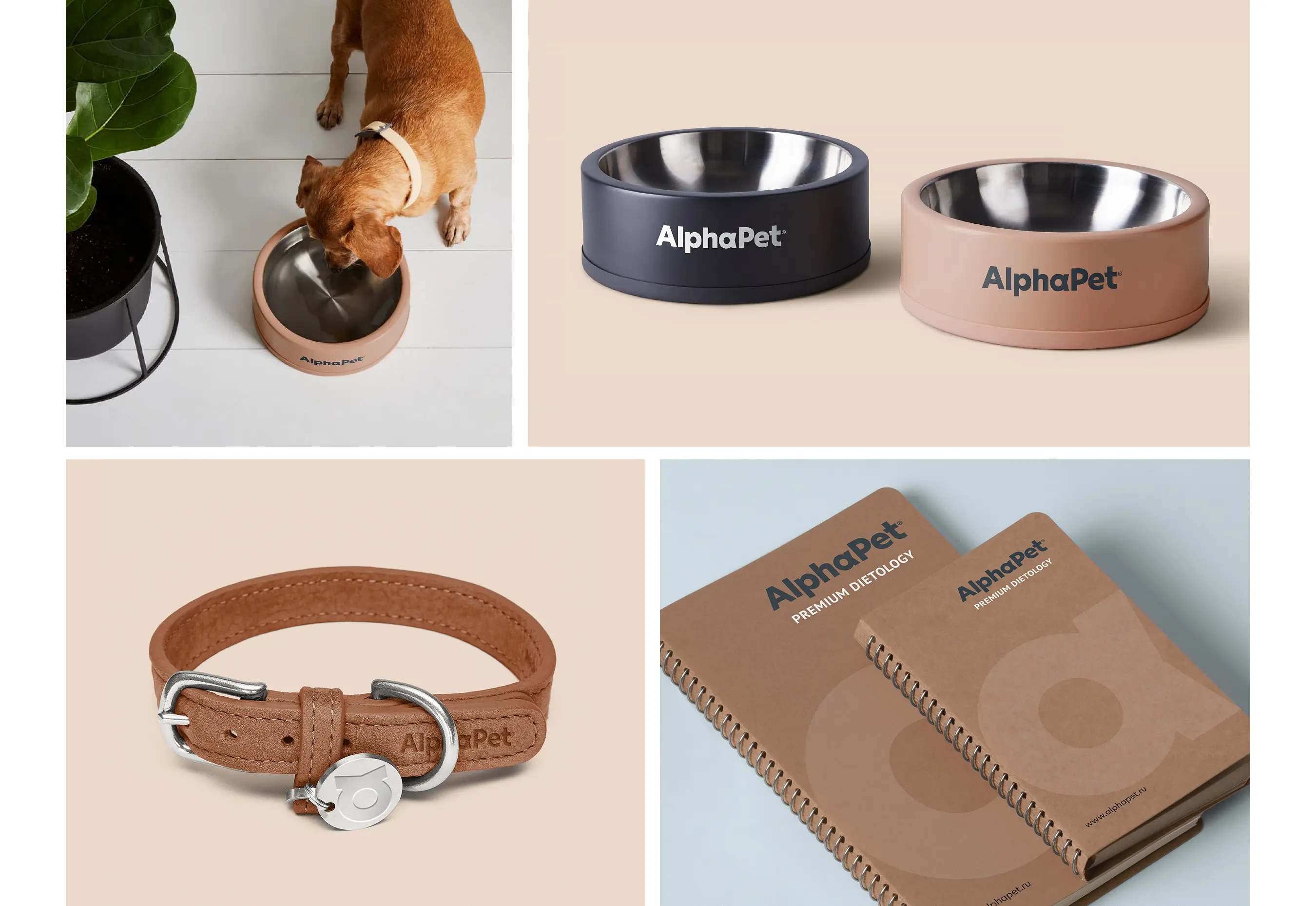 Дизайн сувенирной продукции AlphaPet.