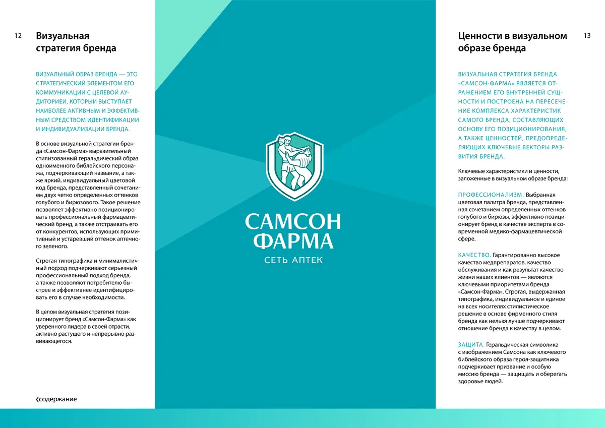 Фирменный стиль Самсон Фарма