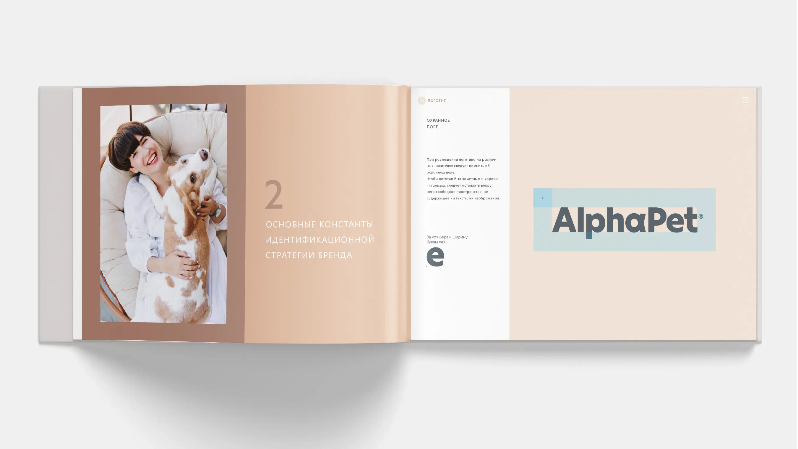 Создание брендбука для AlphaPet.