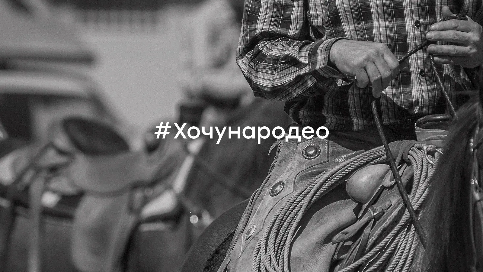 Коммуникационная стратегия Родео Мираторг