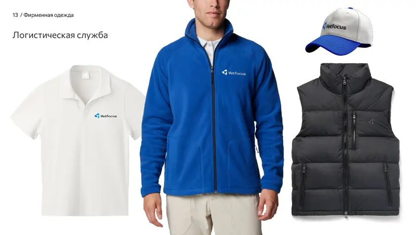 Разработка фирменного стиля бренда VETFOCUS
