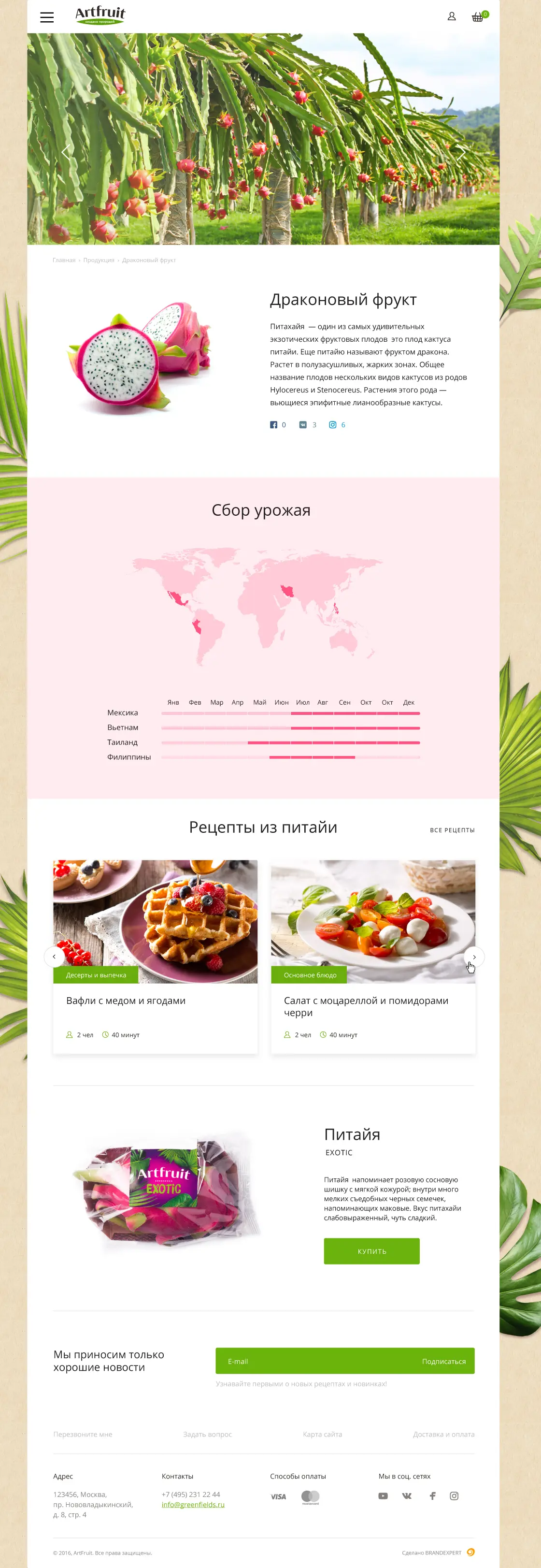 Разработка сайта Artfruit