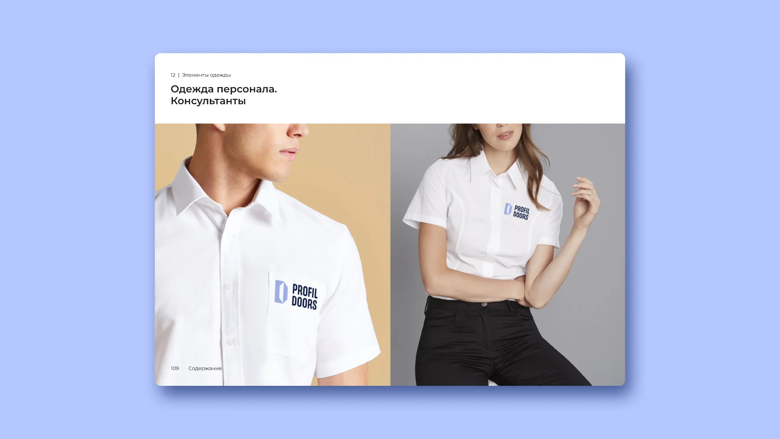 Фирменный стиль PROFILDOORS (Профильдорс)