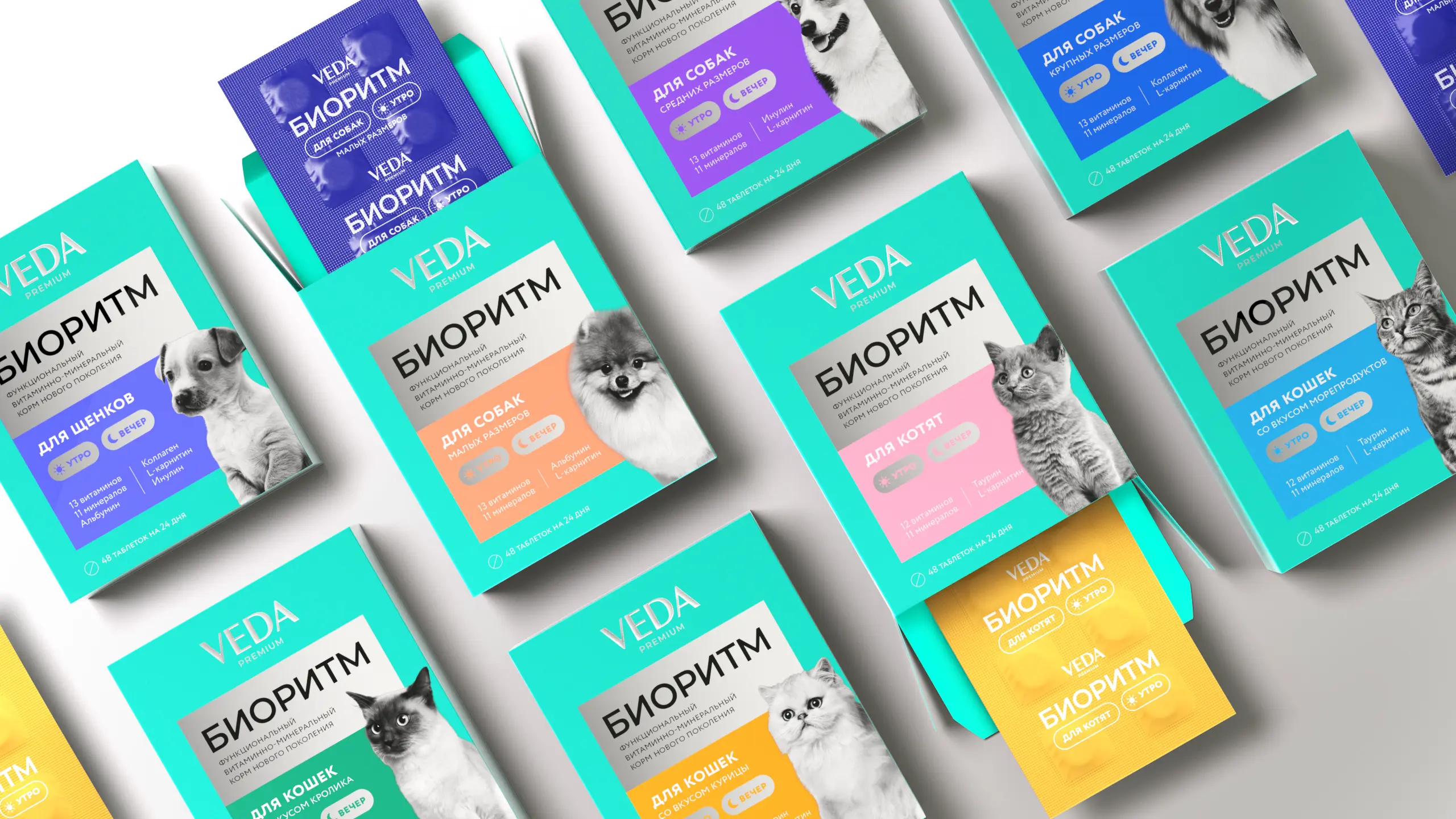 Разработка дизайна упаковки VEDA