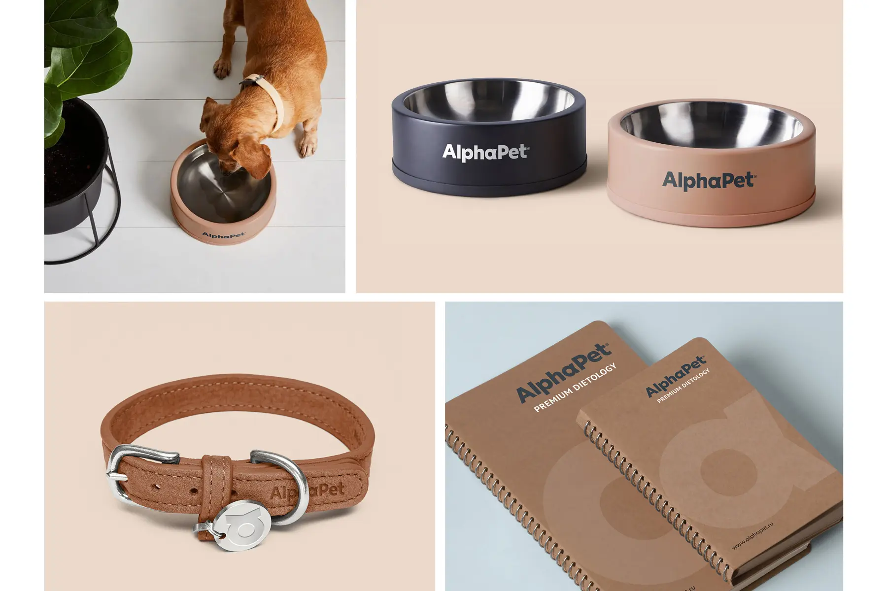 Разработка фирменного стиля бренда ALPHAPET