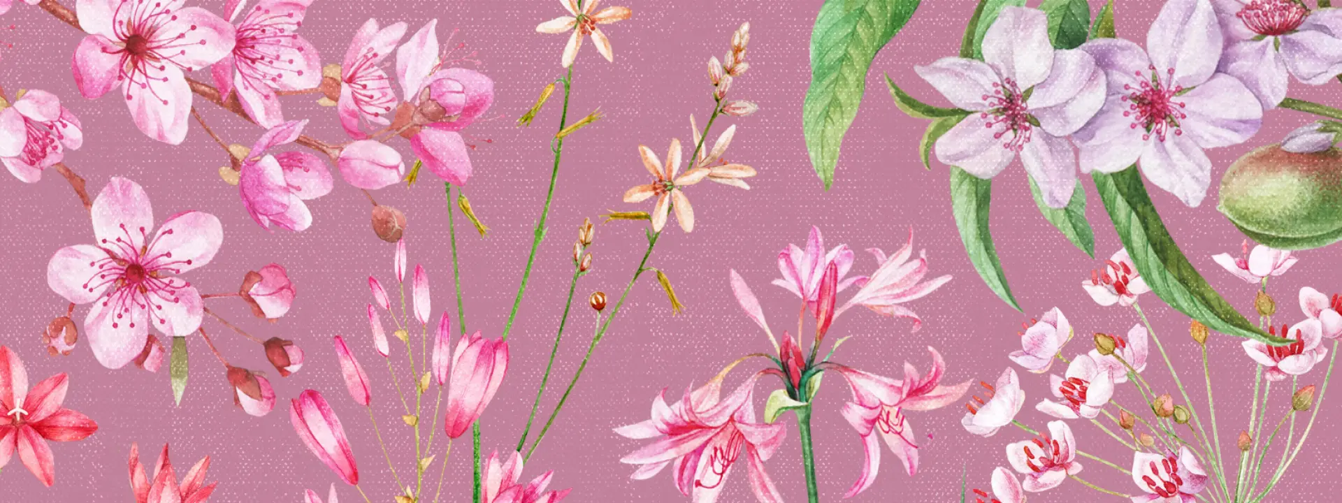 Разработка бренда косметики Floristica